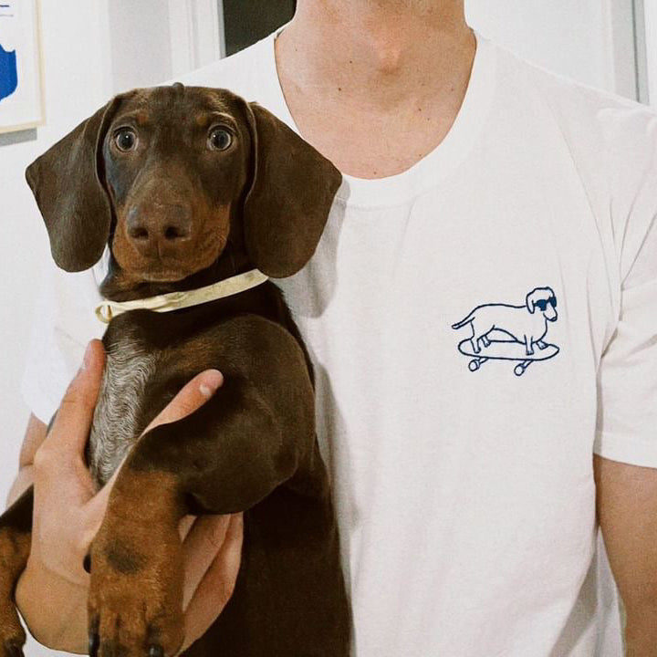 Skater pup