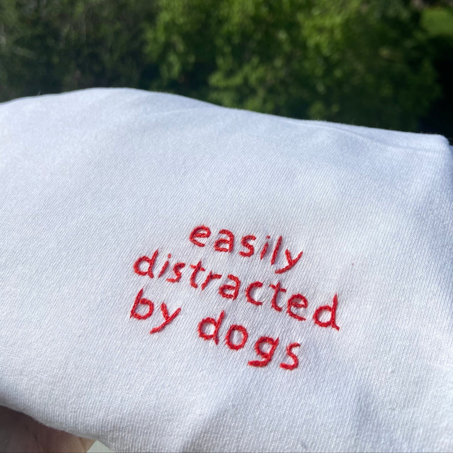 Easily distracted by dogs
